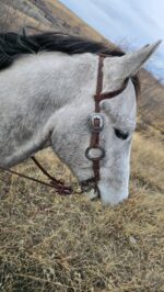 gunmetal antique metal ring bridle (1)