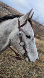 gunmetal antique metal ring bridle (7)