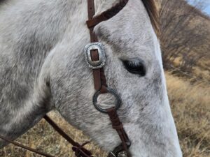 gunmetal antique metal ring bridle (7)