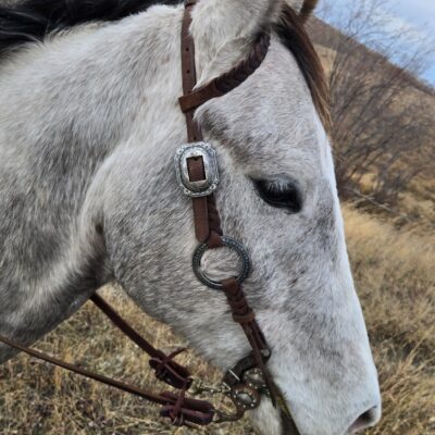 gunmetal antique metal ring bridle (7)