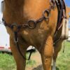 Twisted Iron - Gunmetal Antique Metal Ring Breast Collar - view 9