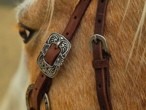 metal ring breast collar western breast collar concho breast collar metal ring headstall western bridle with rings (11)