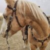 Twisted Iron - Silver Rose Metal Ring Browband Headstall - view 3