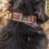 Prairie Sunflower Leather Dog Collar - Hand-Painted Western - view 10