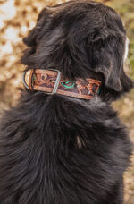 western dog collar sunflower dog collars leather dog collars (10)