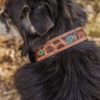 Prairie Sunflower Leather Dog Collar - Hand-Painted Western - view 9