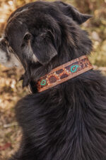 western dog collar sunflower dog collars leather dog collars (11)