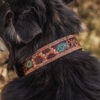 Prairie Sunflower Leather Dog Collar - Hand-Painted Western