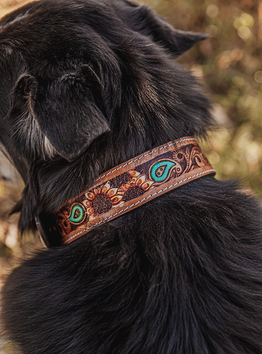 western dog collar sunflower dog collars leather dog collars (12)