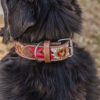 Prairie Bloom Dog Collar - Leather Dog Collar - view 11