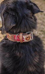 western dog collar sunflower dog collars leather dog collars (13)