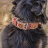 Prairie Bloom Dog Collar - Leather Dog Collar - view 10