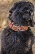 western dog collar sunflower dog collars leather dog collars (14)