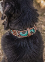 western dog collar sunflower dog collars leather dog collars (2)