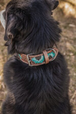 western dog collar sunflower dog collars leather dog collars (3)