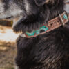 Prairie Blue Leather Dog Collar - Hand-Painted Western Style - view 10