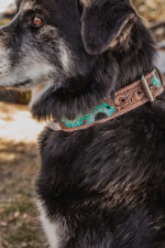 western dog collar sunflower dog collars leather dog collars (4)