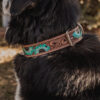 Prairie Blue Leather Dog Collar - Hand-Painted Western Style