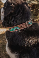 western dog collar sunflower dog collars leather dog collars (6)