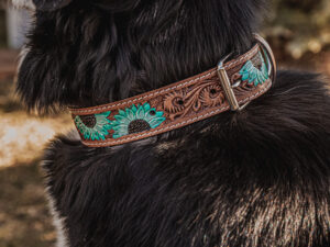 western dog collar sunflower dog collars leather dog collars (6)