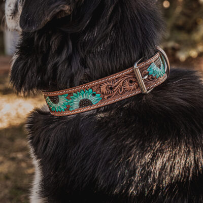 western dog collar sunflower dog collars leather dog collars (6)