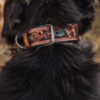 Prairie Sunflower Leather Dog Collar - Hand-Painted Western - view 8