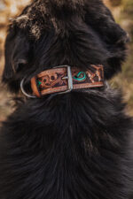 western dog collar sunflower dog collars leather dog collars (9)