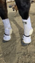 Splint boots bell boots ranch hand (2)