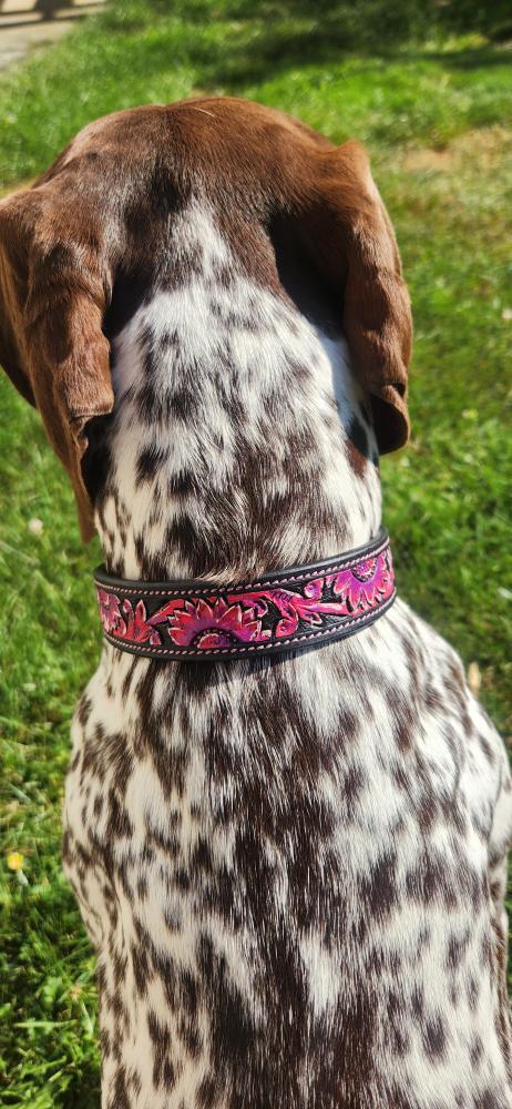 WESTERN DOG COLLARS AND SUNFLOWER HEADSTALL (4)