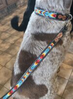 beaded dog collar and beaded leash leather dog collar ranch hand western dog leash (1)