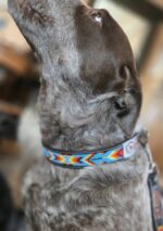beaded dog collar and beaded leash leather dog collar ranch hand western dog leash (3)