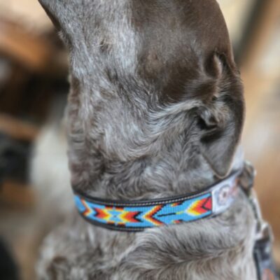 beaded dog collar and beaded leash leather dog collar ranch hand western dog leash (3)