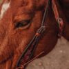 Antique Leather Wide Browband Headstall - Bridle with Tooling - view 9