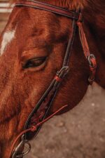 rhproduct 29 resized