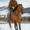 Twisted Iron - One Ear Headstall with Rose Gold Metal Rings - view 8