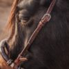 Cowboy's Choice Rawhide Bosal with Leather Hanger - Western Training Gear - view 8