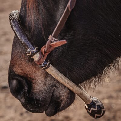 western bosal horse hackamore ranch hand (3)