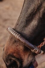 western bosal horse hackamore ranch hand (4)