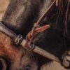 Cowboy's Choice Rawhide Bosal with Leather Hanger - Western Training Gear - view 5
