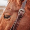 Working Split Ear Headstall - view 5
