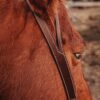 Working Split Ear Headstall - view 4