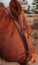 western bridle leather headstall for horses western horse tack ranch hand (13)