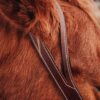 Working Split Ear Headstall - view 3