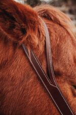 western bridle leather headstall for horses western horse tack ranch hand (14)