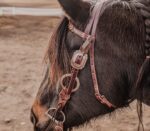 western bridle leather headstall for horses western horse tack ranch hand (25)