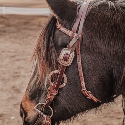 western bridle leather headstall for horses western horse tack ranch hand (25)