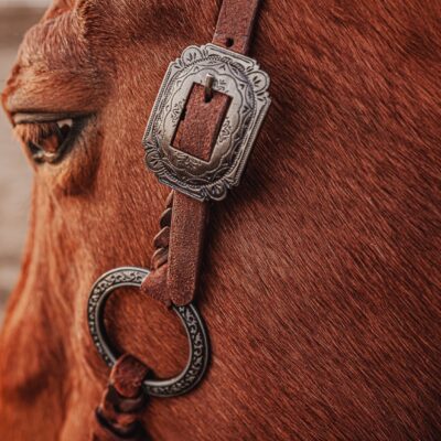 western bridle leather headstall for horses western horse tack ranch hand (29)