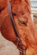 western bridle leather headstall for horses western horse tack ranch hand (31)