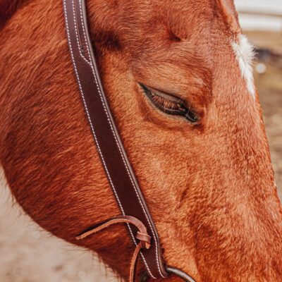 western bridle leather headstall for horses western horse tack ranch hand (31)