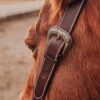 Working Split Ear Headstall